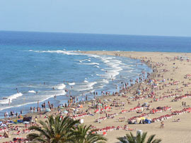 Playa Del Ingles Hotel Mit Hund Playa Del Ingles Hotel Mit Hund